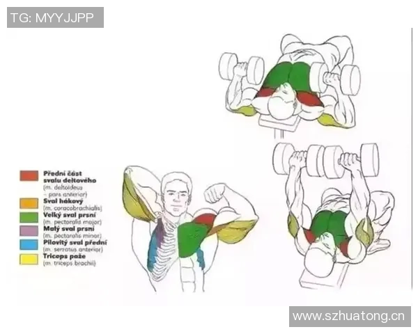 布雷默膝盖手术后六周伤缺康复中分享健身房训练进展