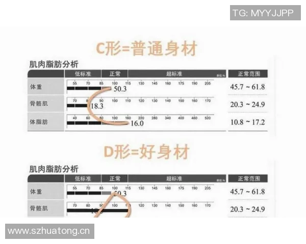NBA中国官网强调适量脂肪对抗的重要性教练组关注瀚森体脂率监测情况 NBA中国官网强调适量脂肪对抗的重要性教练组关注瀚森体脂率监测情况